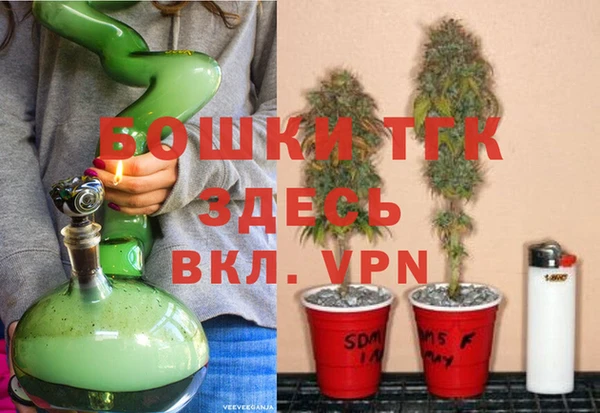 соль ск Гусев