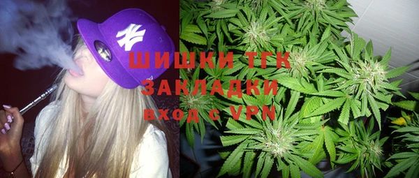 тгк Гусь-Хрустальный