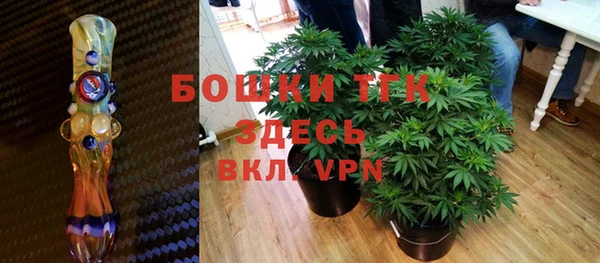 тгк Гусь-Хрустальный