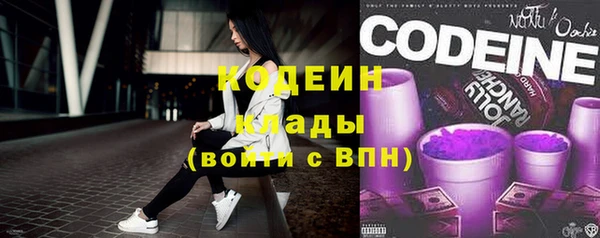 соль ск Гусев