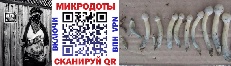 Галлюциногенные грибы MAGIC MUSHROOMS  Калач 